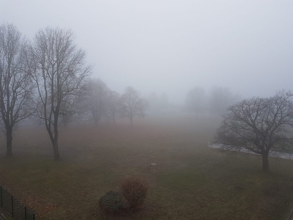 Brouillard sur le parc